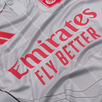 Lyon 3rd Shirt 2025/26